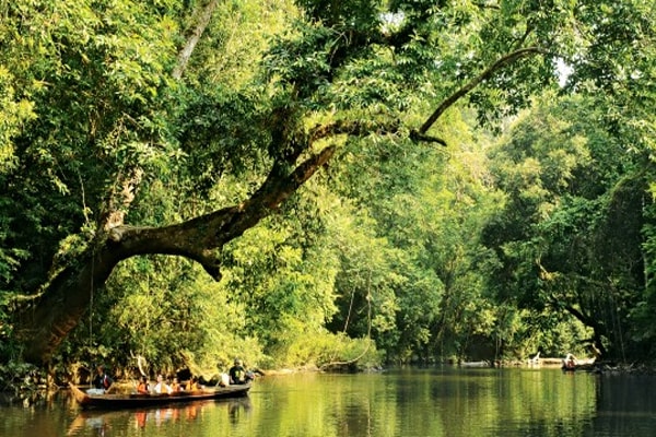 taman-negara-3-min