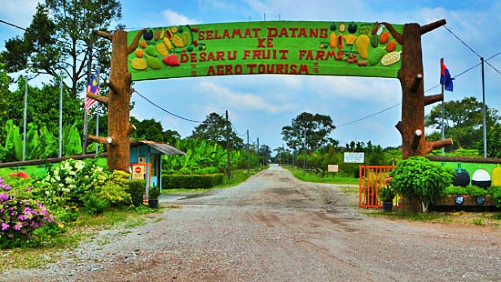 desaru-fruit-farm-575d2160b6d0058c9a1d0549495b14c5