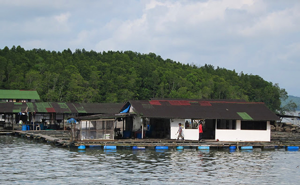 kampung-kong-kong-laut