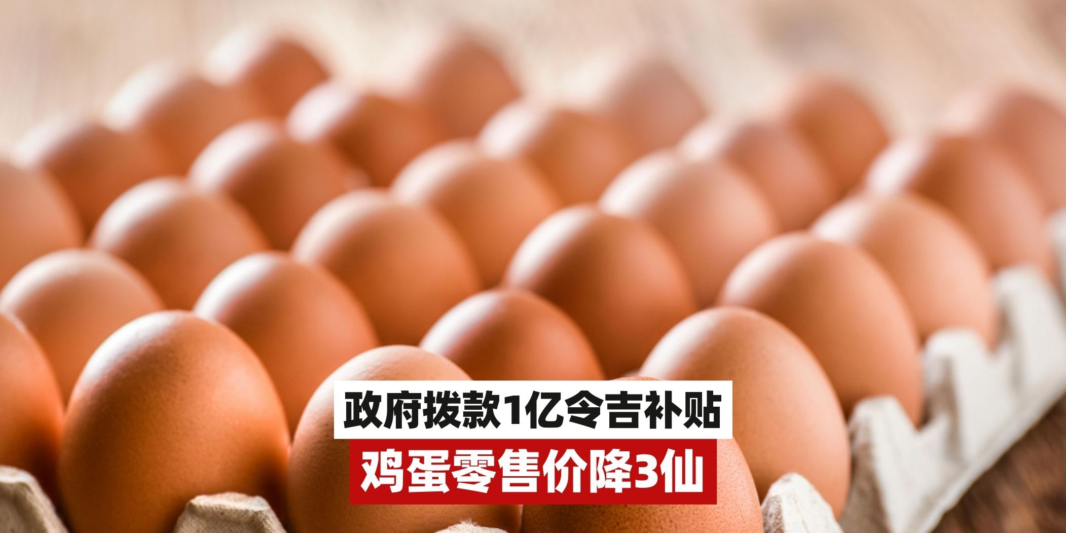 【政府拨款1亿令吉补贴，鸡蛋零售价降3仙】