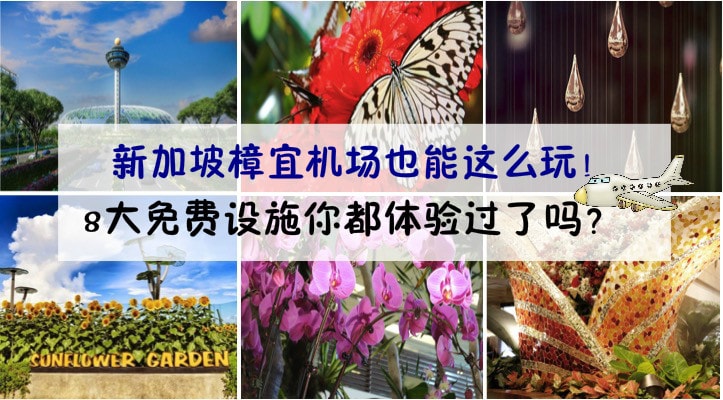新加坡樟宜机场也能这么玩！8大免费设施你都体验过了吗？
