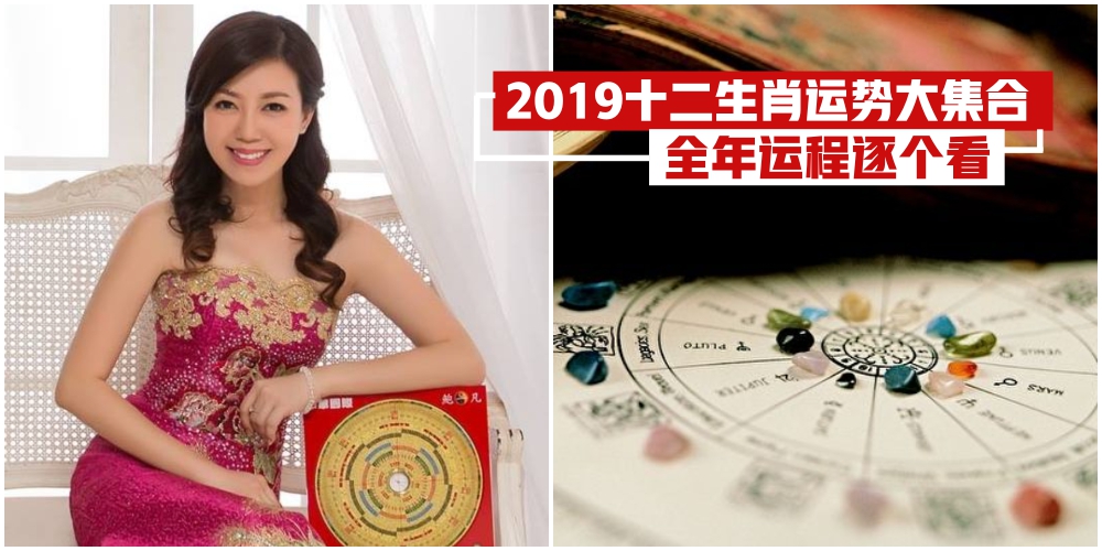 【新春特辑】2019年十二生肖运程大集合 · 全年运势逐个看