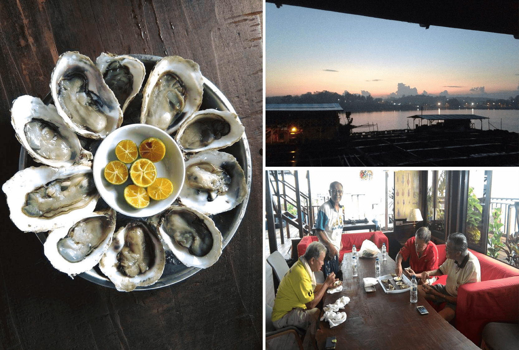 oyster-min (1)