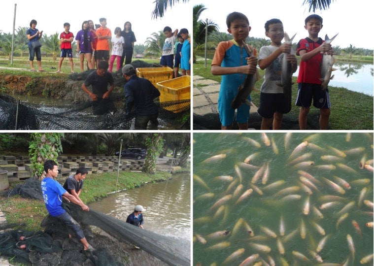 fishing-min