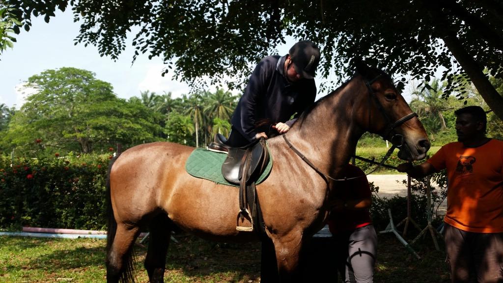 getting-on-horse-phillip-min