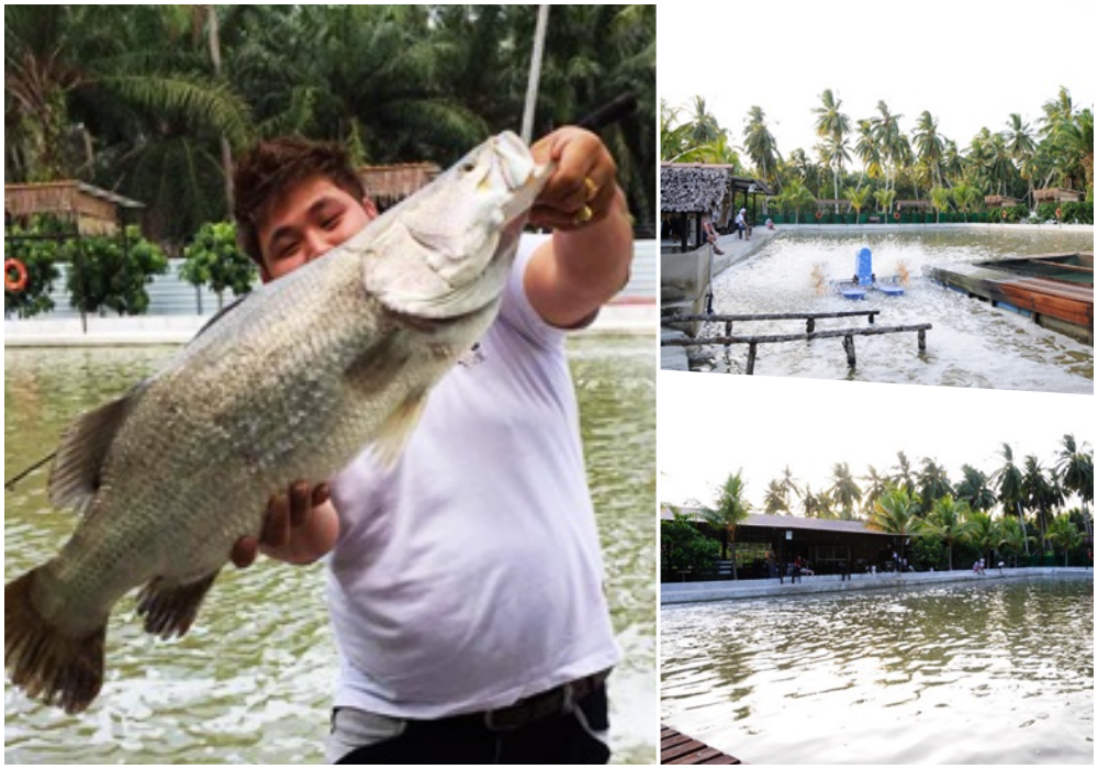 fish