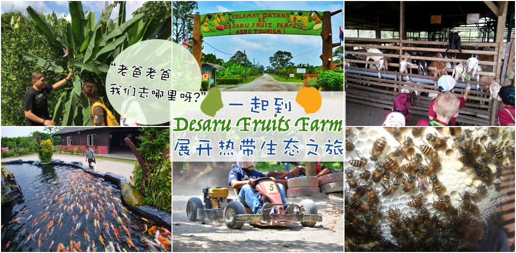desarufruitsfarm