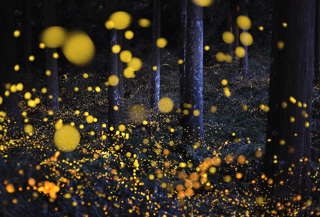 954D21E3FDBCA944D038CEE6BB5E2F6A-min