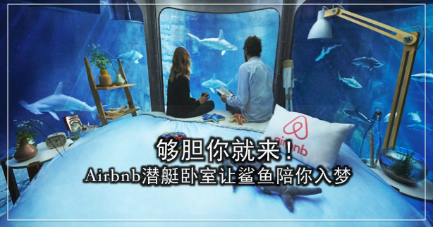 够胆你就来！Airbnb潜艇卧室让35只鲨鱼陪你入梦！