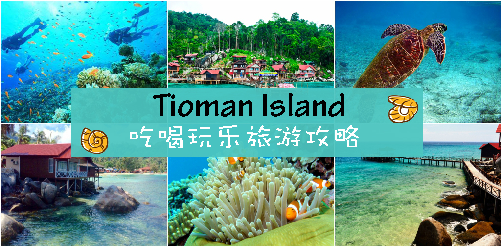 tioman copy