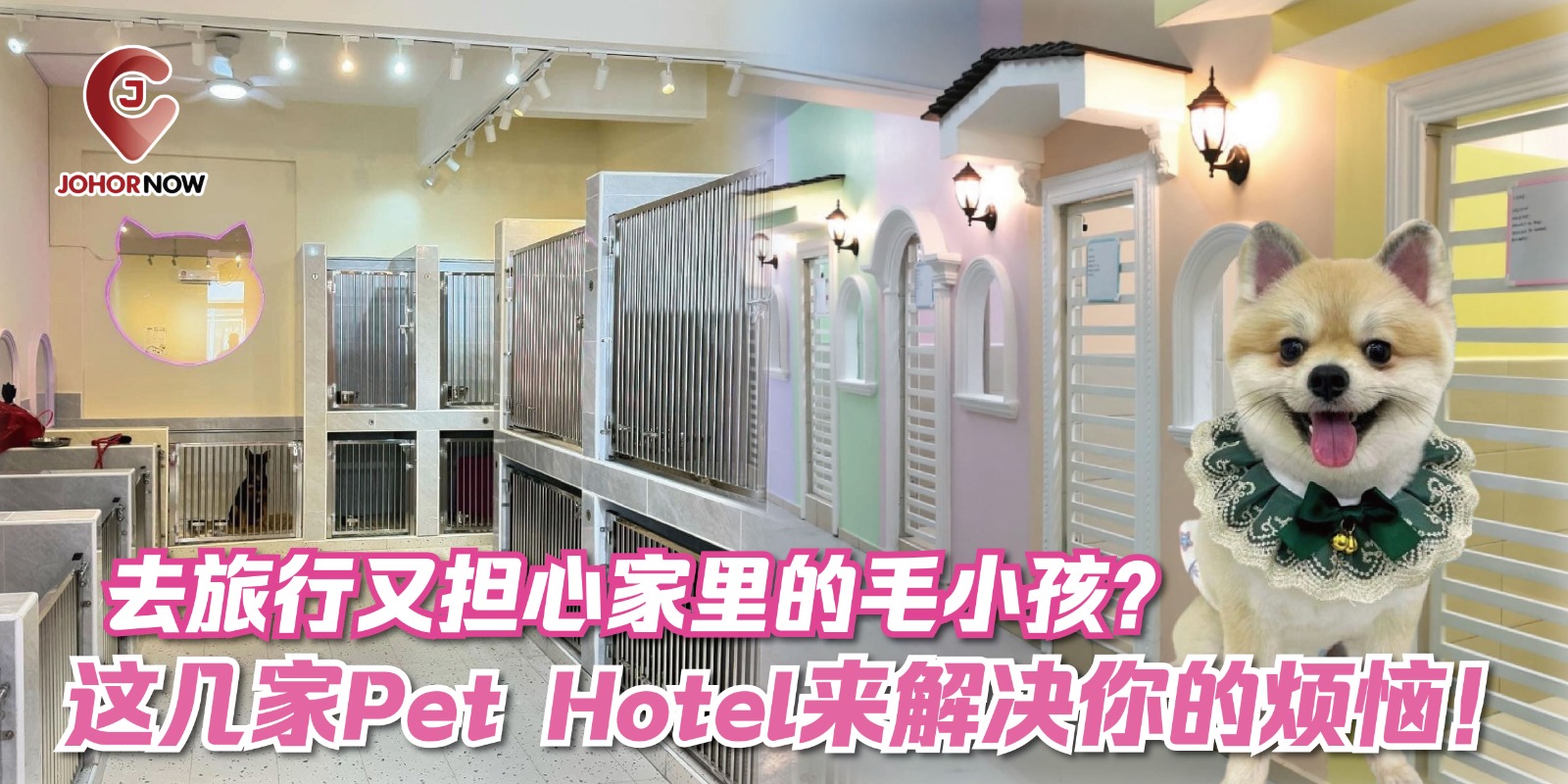【去旅行又担心家里的毛小孩？这几家Pet Hotel来解决你的烦恼！ 🐾】