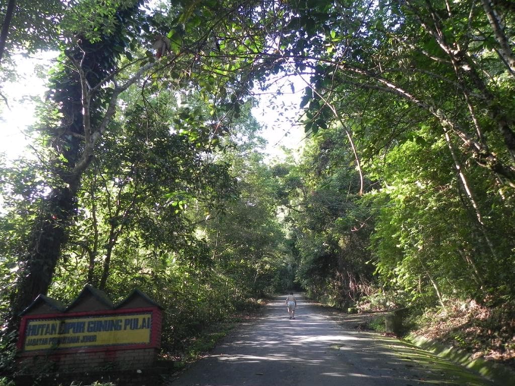 pulai-waterfall-min-1