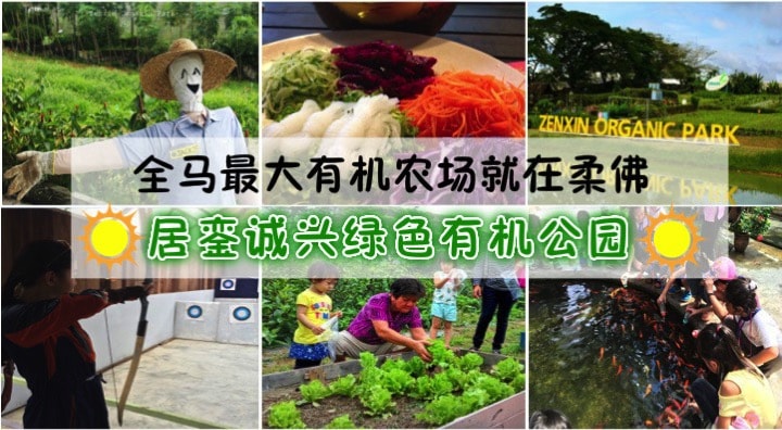 zenxin-cover-final-min