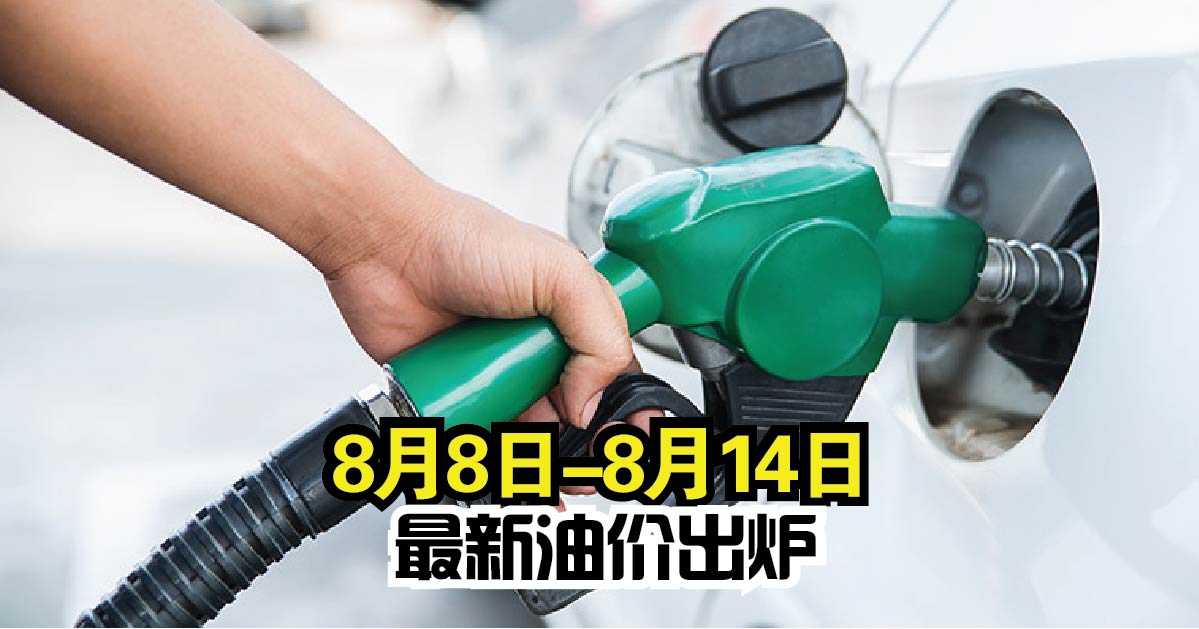 【8月8日-8月14日】最新油价出炉！